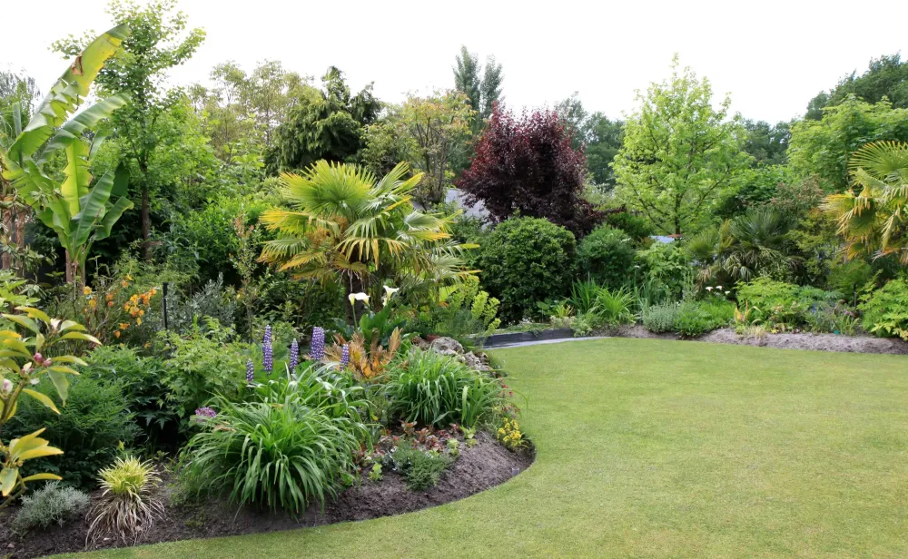 amenagement-jardin-belin-beliet