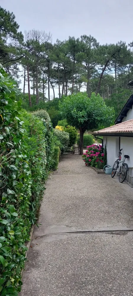 Création de jardin près de Pessac