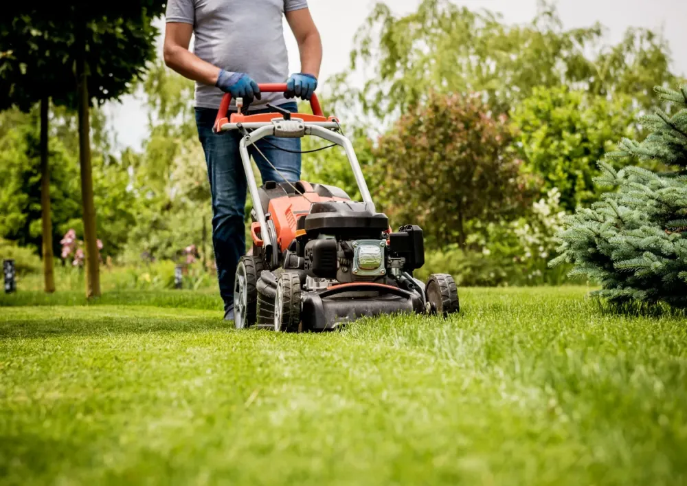Service à la personne près de Pessac