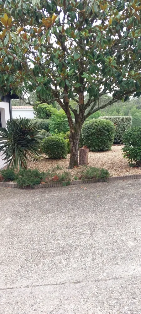 realisation-jardin-belin-beliet