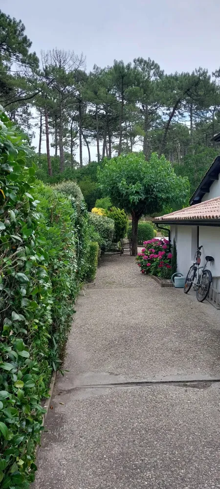 conception-jardin-personnalise-belin-beliet.jpg