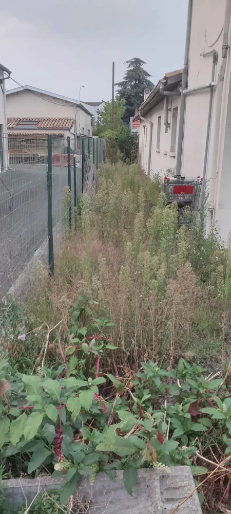 installation-grillage-jardin-belin-beliet.jpg