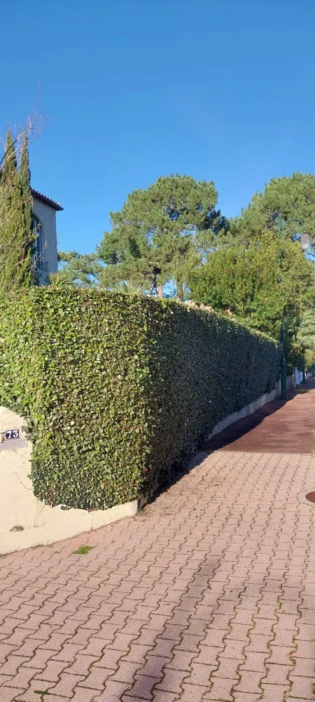 paysagiste-travaux-jardin-gironde.jpg
